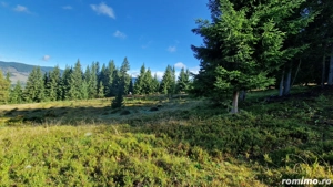 Teren intravilan de vanzare Vatra Dornei, Dorna Arini - imagine 9