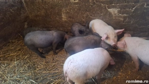 De vânzare  - imagine 2