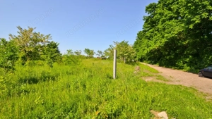 Teren intravilan situat in zona Padurea Baneasa - imagine 4