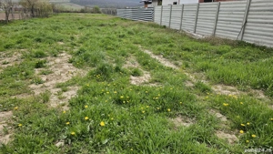 Teren intravilan de vanzare (loc de casă), Com. Ineu, Bihor - imagine 7