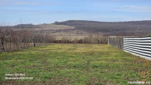 Teren intravilan de vanzare (loc de casă), Com. Ineu, Bihor - imagine 8