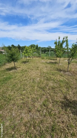 Teren intravilan de vanzare (loc de casă), Com. Ineu, Bihor - imagine 10