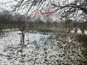 Casă  Milcovul - imagine 6