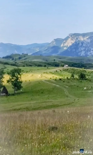 Teren an Munti Apuseni