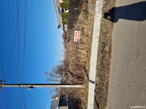 Teren Arcesti Cot ( Pleșoiu) - imagine 4