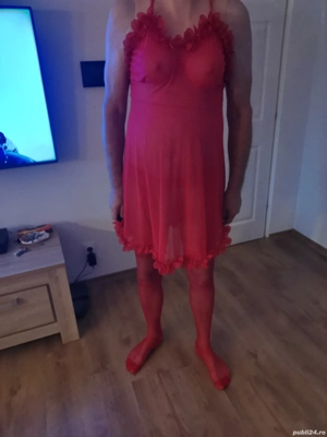 Eu  pasiv Timisoara - imagine 3