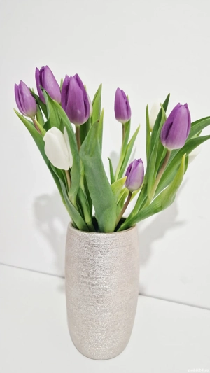 Jucarie interactiva  - imagine 3