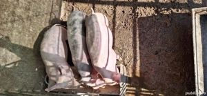 Vând purcei de rasa - imagine 3