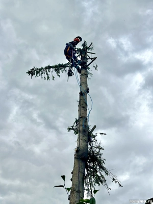 Alpinsta fav gás  Tăietor de lemne alpinist