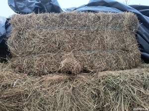 Baloți de trifoi cu o lungime de 1,10 