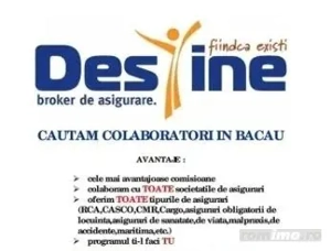Asistent in brokeraj   Consultant ( Broker asigurari, vacante, credite)