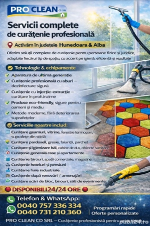 Servicii profesionale de curățenie 