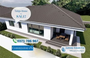 Tulips House, Casa de vanzare, Santandrei - Bihor