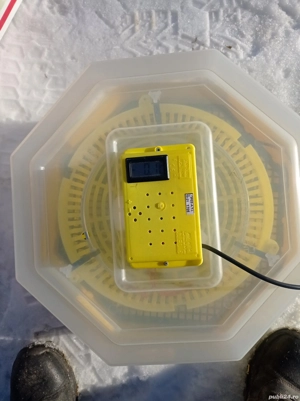 Incubator Cleo 5. - imagine 2