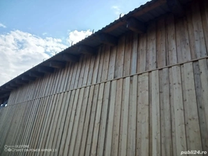 Lemn&piatra - imagine 3