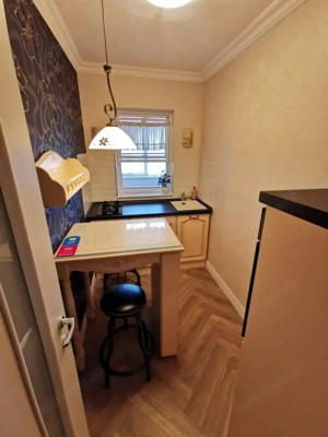 Garsoniera Ion Mihalache- Titulescu- Banu Manta - imagine 6