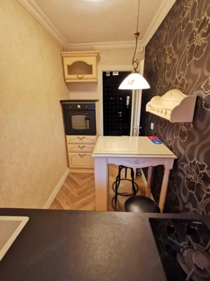 Garsoniera Ion Mihalache- Titulescu- Banu Manta - imagine 7