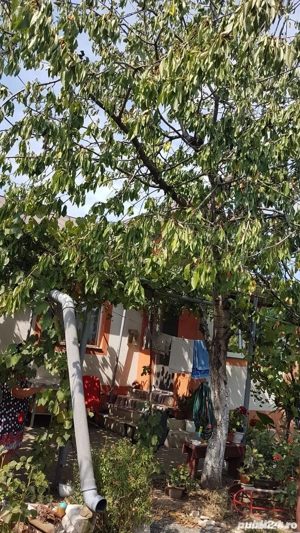 Casă 3 camere - Lazu | Teren 600 mp - imagine 6