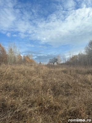 Super Ofertă! Teren la munte intravilan+extravilan - imagine 8