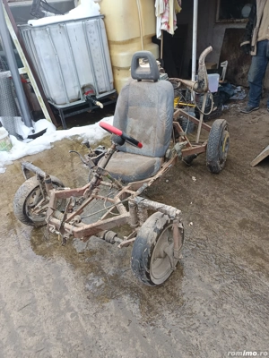 buggi proiect  - imagine 4