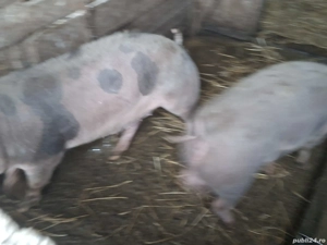 de vanzare - imagine 4