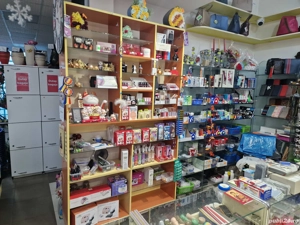 Manechine fibra Rafturi lemn si sticla IEFTIN ! - imagine 2