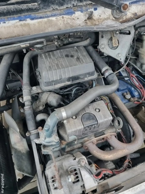 Chatenet Stella - imagine 3