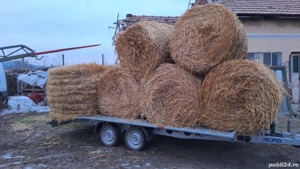 Vand baloti de paie de grau 120 x 120 70lei