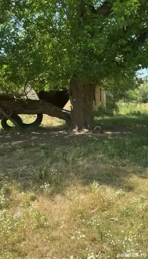 Vand Casa Teren  - imagine 2