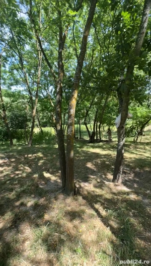 Vand Casa Teren  - imagine 5