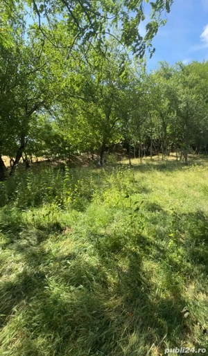 Vand Casa Teren  - imagine 7