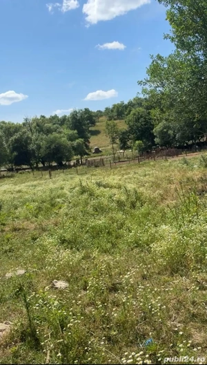 Vand Casa Teren  - imagine 6