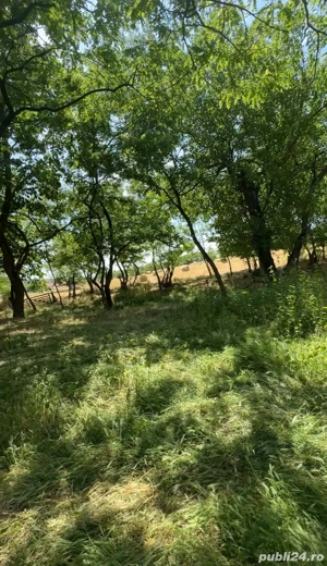 Vand Casa Teren  - imagine 8