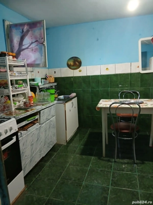 schimb casă la sat cu apartament 1 cameră lugoj,exclus etaj 4 - imagine 3