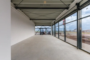 Spații comerciale de închiriat în noua Galerie Senso Lake – Dumbrăvița - imagine 13