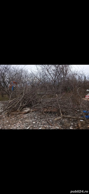 curatare gradini si curti  - imagine 5