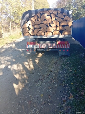 Lemne de Foc Esentă tare  600 lei metru kub chiar si Moale Dupa preferinta Clenului - imagine 3