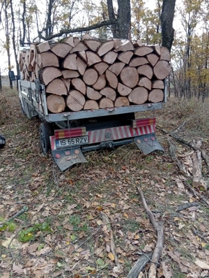 Lemne de Foc Esentă tare  600 lei metru kub chiar si Moale Dupa preferinta Clenului - imagine 5