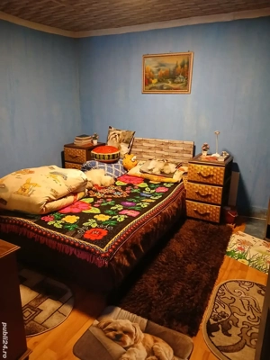 schimb casă la sat cu apartament 1 cameră lugoj,exclus etaj 4 - imagine 5