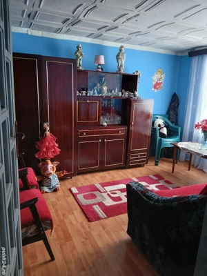 schimb casă la sat cu apartament 1 cameră lugoj,exclus etaj 4 - imagine 7