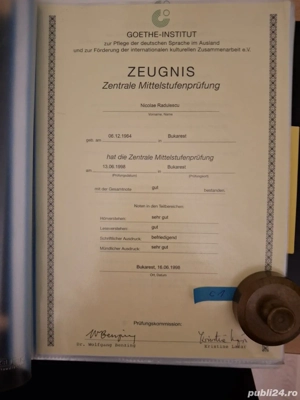 Meditez germana orice nivel, atestat Goethe Institut nivel maxim