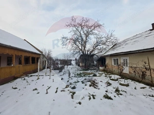 Gospodarie de vanzare in Giulvaz, judetul Timis - imagine 3