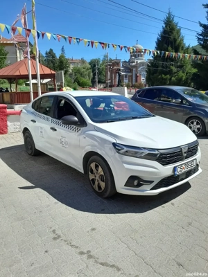 Taxi Anina - imagine 2