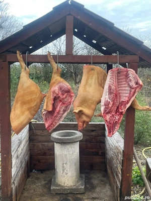 Vând CARCASĂ,porc de curte  - imagine 2