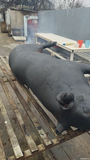 Vând CARCASĂ,porc de curte  - imagine 4