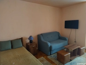 Take Ionescu de inchiriat apartament cu 1 camera - imagine 2
