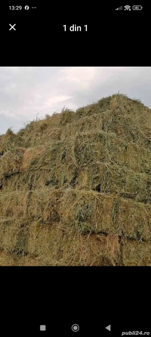Vînd baloți de lucernă cu fîn  și iesle de fier două bucăți și vulegător porumb zmaj 222 în state fo
