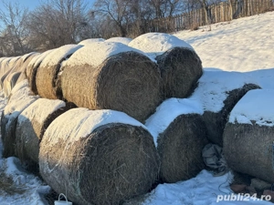 Baloti de paie, rotunzi