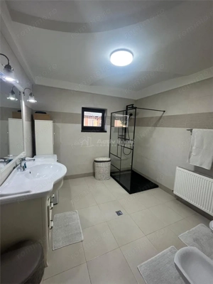 Vila Sm #226;rdan,5 dormitoare GAZ sosea principala - imagine 15