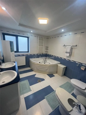 Vila Sm #226;rdan,5 dormitoare GAZ sosea principala - imagine 16